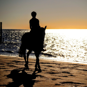 Visit KAEC - Horse Riding Adventures